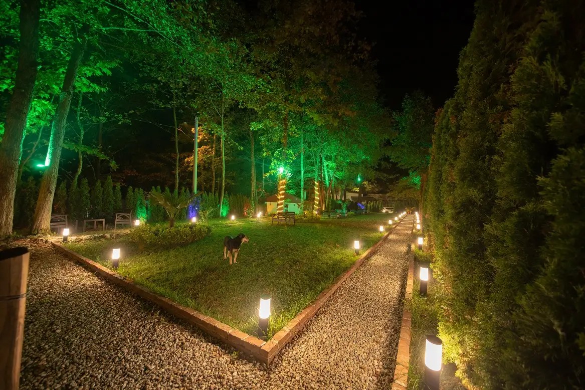 Sapanca Oksijen Bungalov