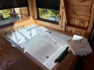 Sapanca Sazlıgöl Bungalov