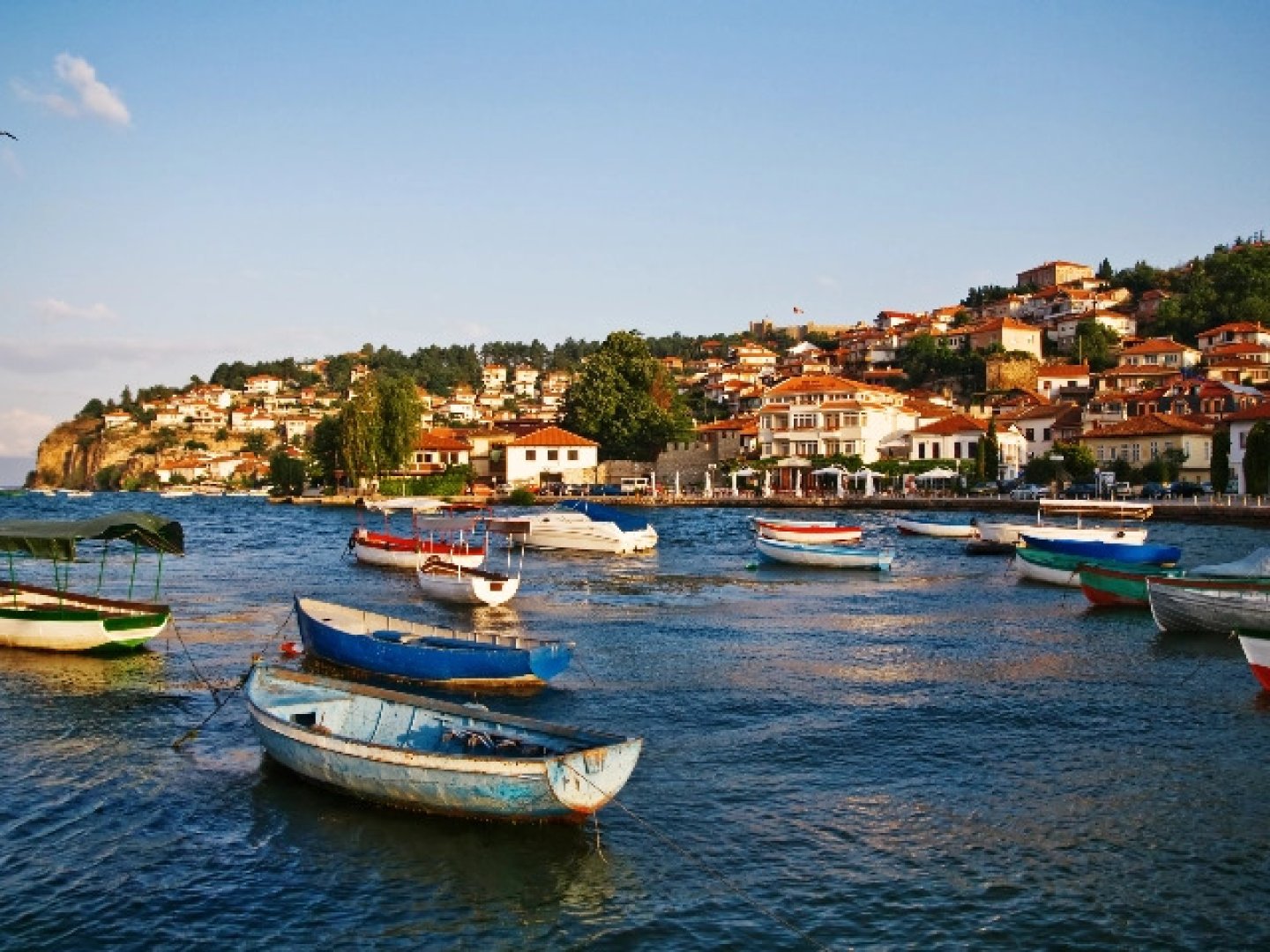 Karadeniz Yayla Turları