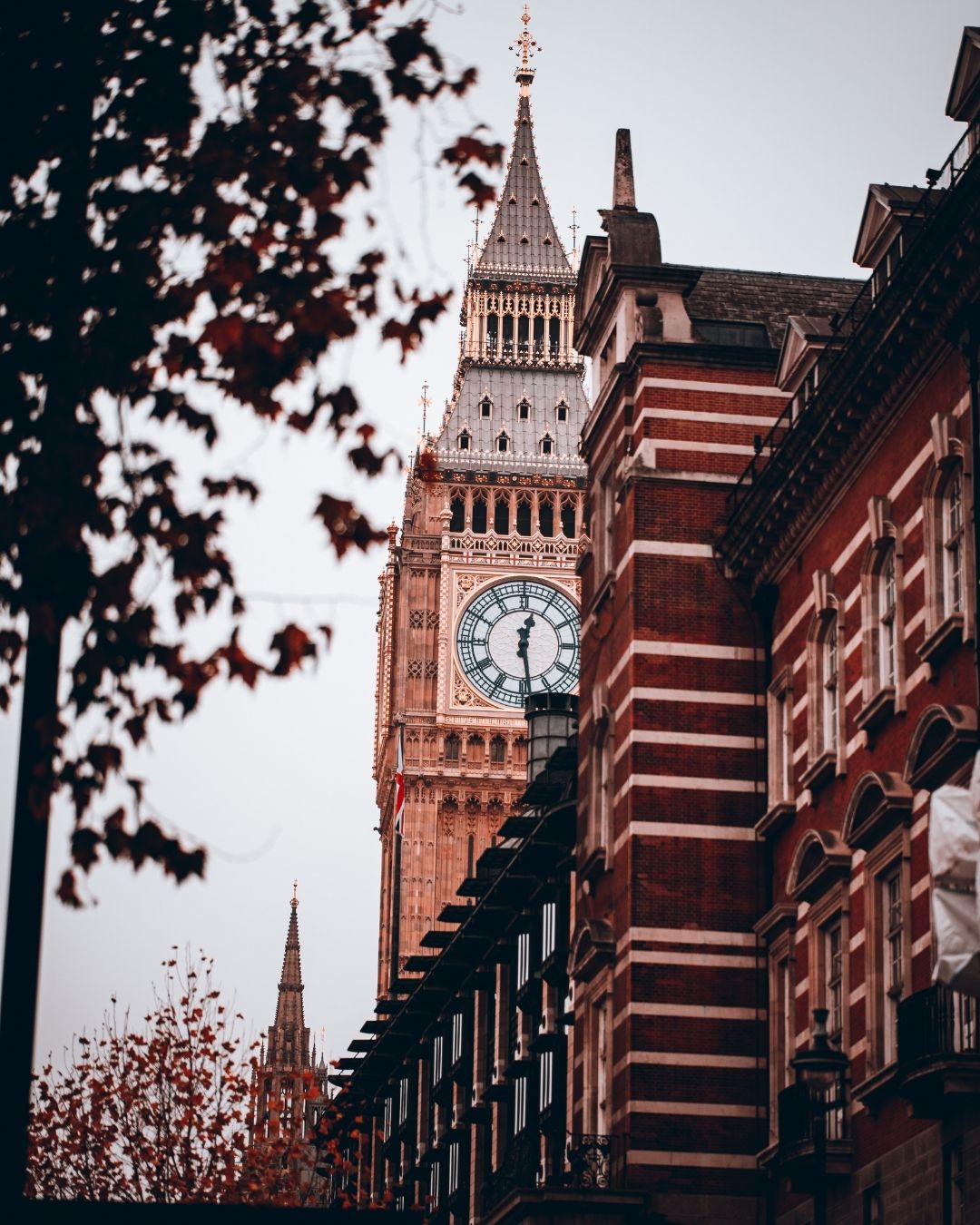 Genel Görünüm